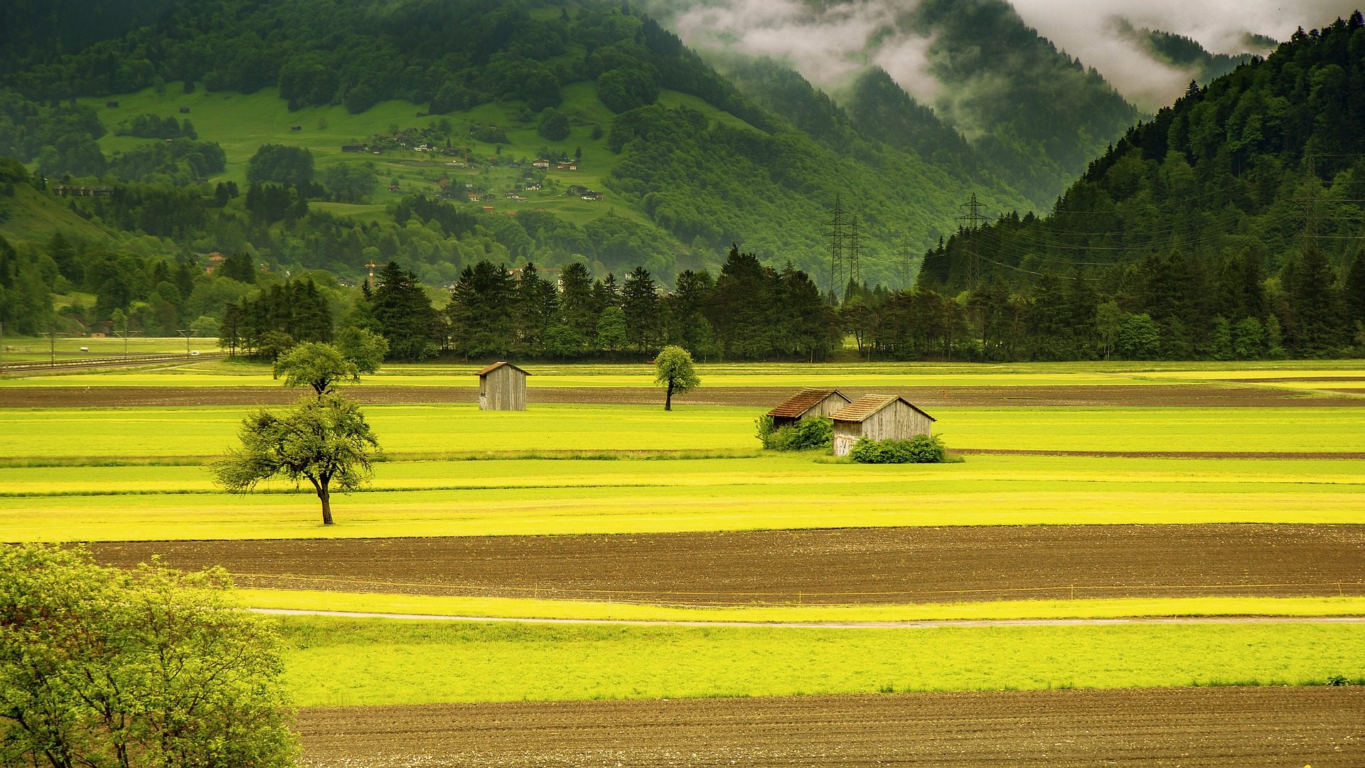 MEI Rural: quais as regras e como funciona